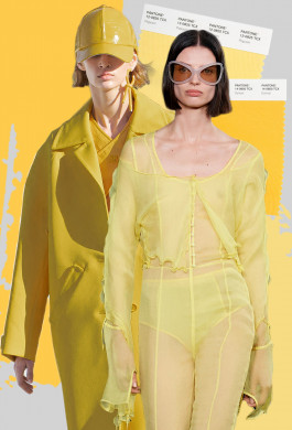 STUDIO MIRELLA PRIOLO